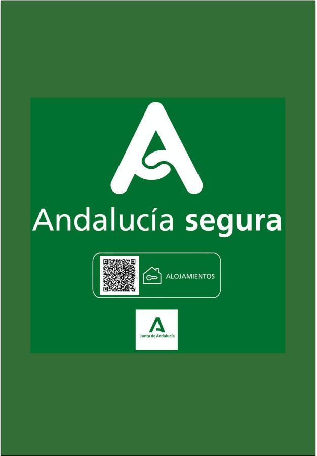 Holidays2Malaga Heredia 3 Bedroom Opposite Malaga Port المظهر الخارجي الصورة